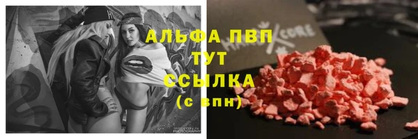 PSILOCYBIN Нязепетровск