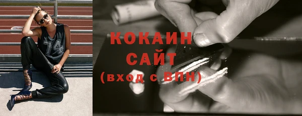 дурь Гусев