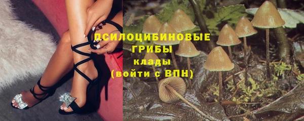 соль курить ск Новодвинск