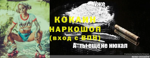 МДПВ Осташков