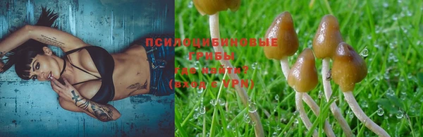 MDMA Новозыбков