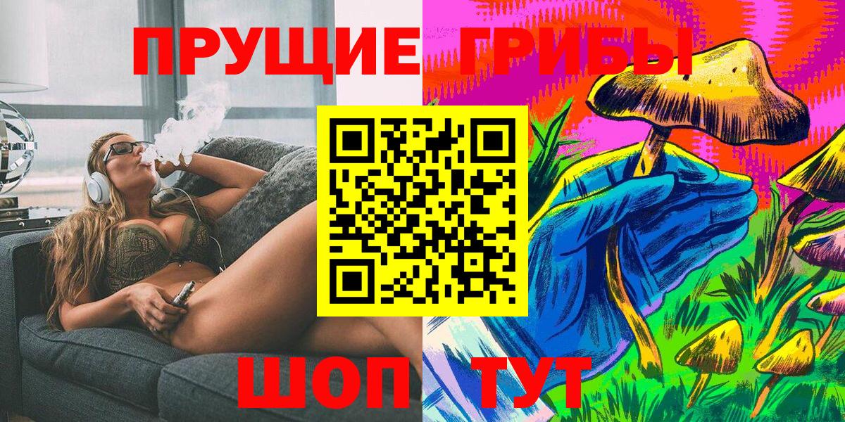 Псилоцибиновые грибы Cubensis  Заводоуковск 