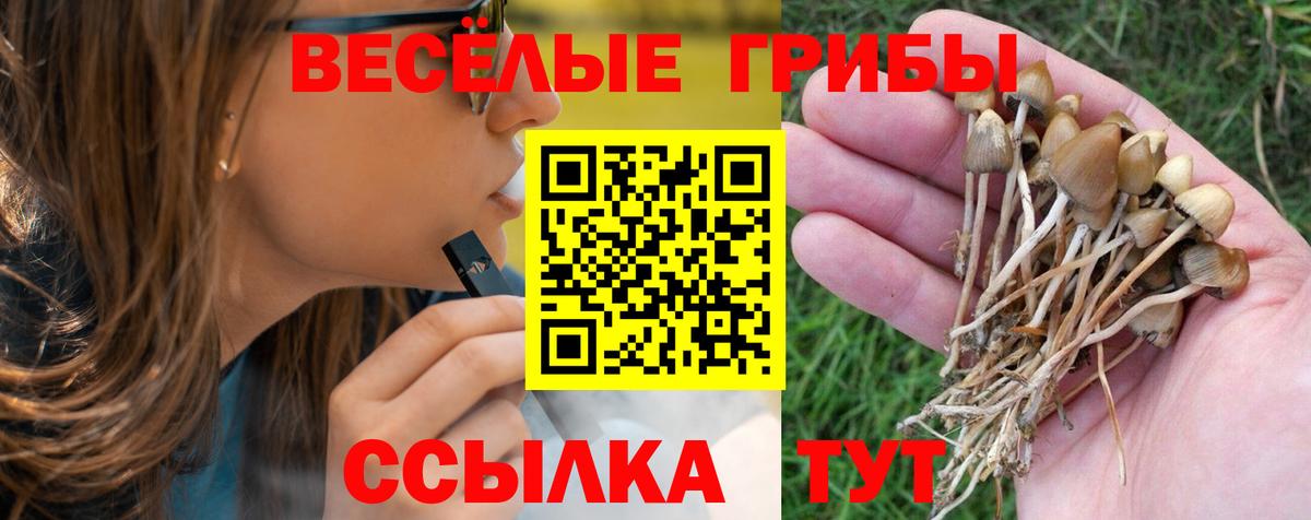 Заводоуковск  Галлюциногенные грибы Cubensis  Вход с VPN 